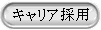 �L�����A�̗p